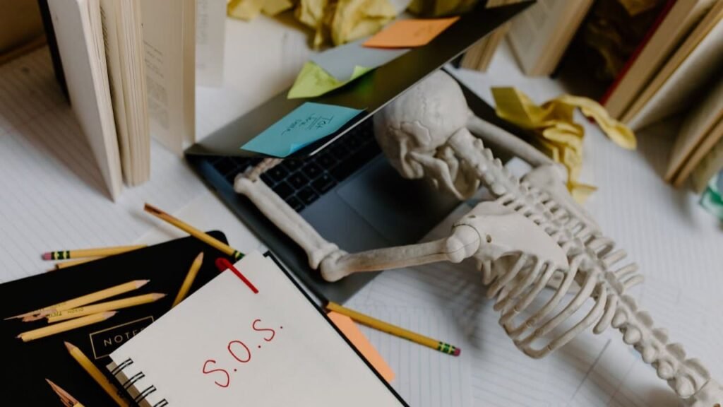 Marketing indépendant / PME